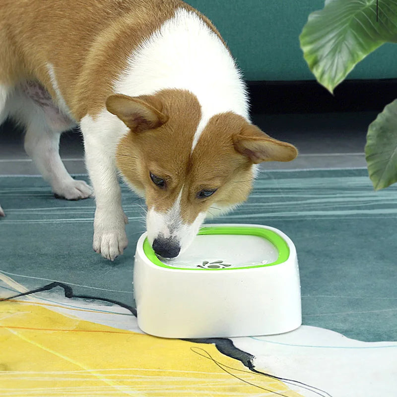 Floating Water Bowl