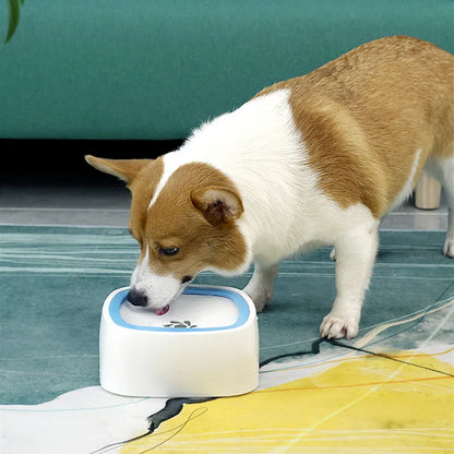 Floating Water Bowl