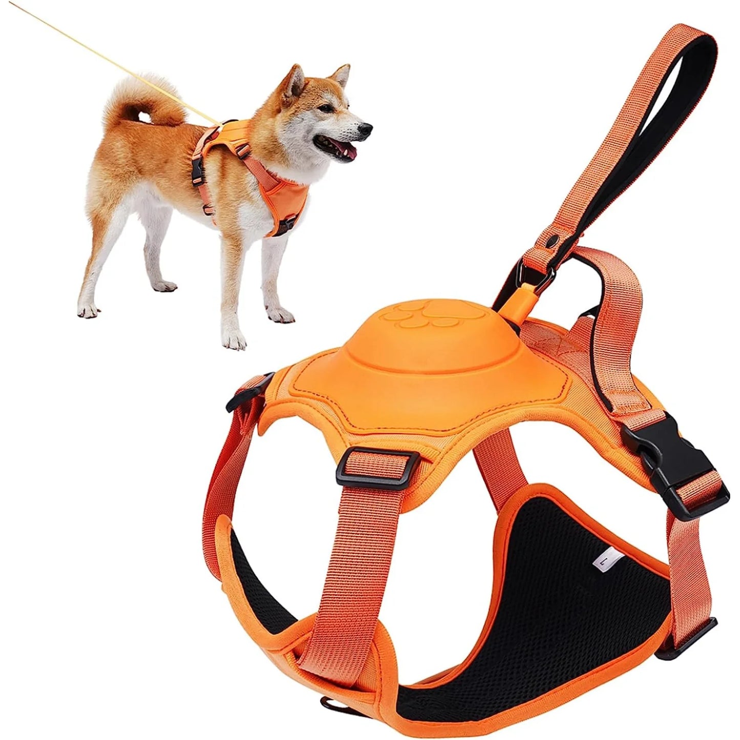 Harness and Retractable Leash